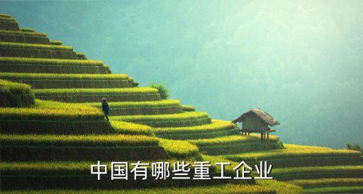 中國有哪些重工企業(yè)