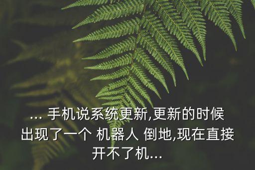 ... 手機(jī)說(shuō)系統(tǒng)更新,更新的時(shí)候出現(xiàn)了一個(gè) 機(jī)器人 倒地,現(xiàn)在直接開(kāi)不了機(jī)...