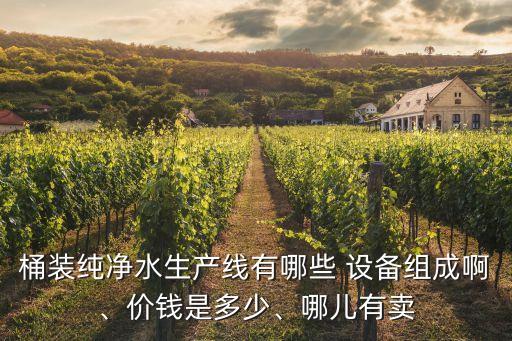 桶裝純凈水生產(chǎn)線有哪些 設(shè)備組成啊、價錢是多少、哪兒有賣