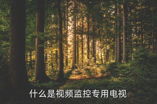 什么是視頻監(jiān)控專用電視