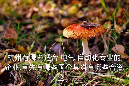 杭州有哪些適合 電氣 自動(dòng)化專業(yè)的企業(yè),首先有哪些國(guó)企其次有哪些合資企...
