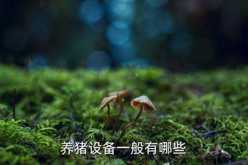 臨清自動(dòng)化養(yǎng)豬設(shè)備廠地址,