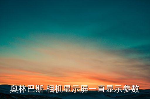 相機顯示器上的數(shù)據(jù),相機拍顯示器閃爍怎么辦