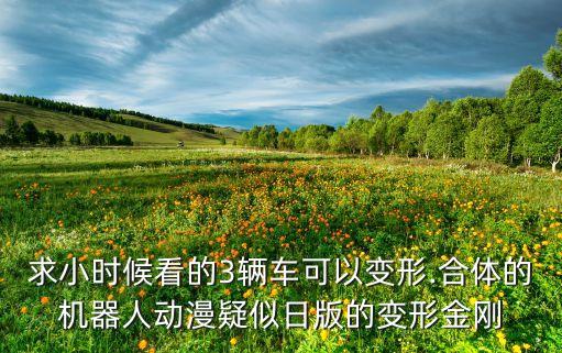 求小時(shí)候看的3輛車可以變形.合體的機(jī)器人動(dòng)漫疑似日版的變形金剛