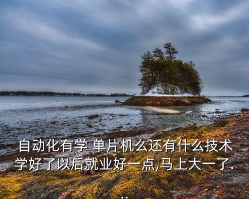  自動化有學(xué) 單片機么還有什么技術(shù)學(xué)好了以后就業(yè)好一點,馬上大一了...