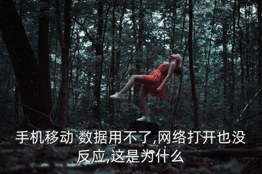 手機(jī)移動(dòng) 數(shù)據(jù)用不了,網(wǎng)絡(luò)打開(kāi)也沒(méi)反應(yīng),這是為什么