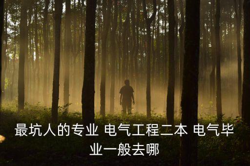 最坑人的專業(yè) 電氣工程二本 電氣畢業(yè)一般去哪