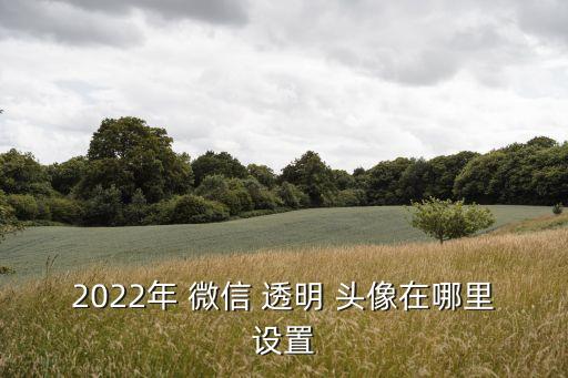 2022年 微信 透明 頭像在哪里設(shè)置