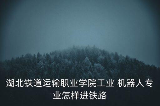 湖北鐵道運輸職業(yè)學(xué)院工業(yè) 機(jī)器人專業(yè)怎樣進(jìn)鐵路