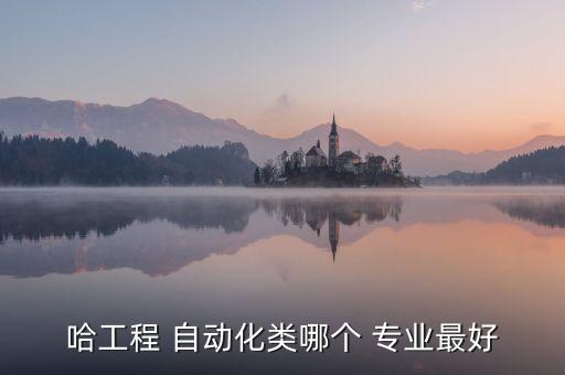 哈工程 自動化類哪個 專業(yè)最好