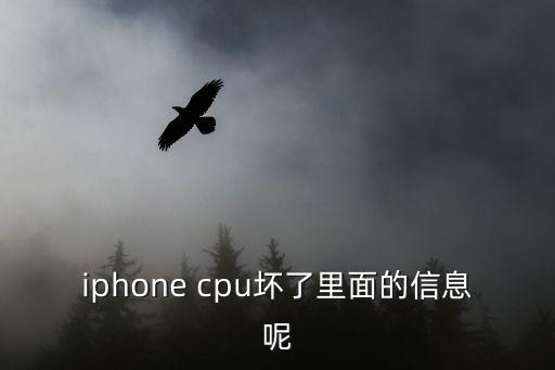 iphone cpu壞了里面的信息呢