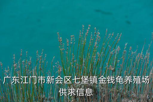 廣東江門市新會區(qū)七堡鎮(zhèn)金錢龜養(yǎng)殖場供求信息