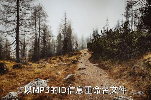 歌曲自動(dòng)改名,10000歌曲改名成什么了