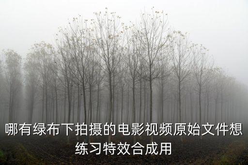 哪有綠布下拍攝的電影視頻原始文件想練習(xí)特效合成用