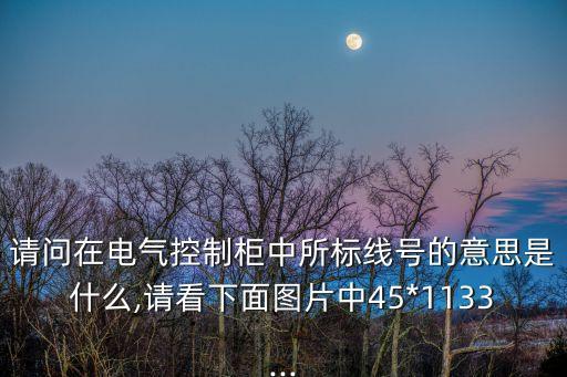 請(qǐng)問在電氣控制柜中所標(biāo)線號(hào)的意思是什么,請(qǐng)看下面圖片中45*1133...