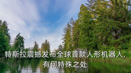 特斯拉震撼發(fā)布全球首款人形機器人,有何特殊之處