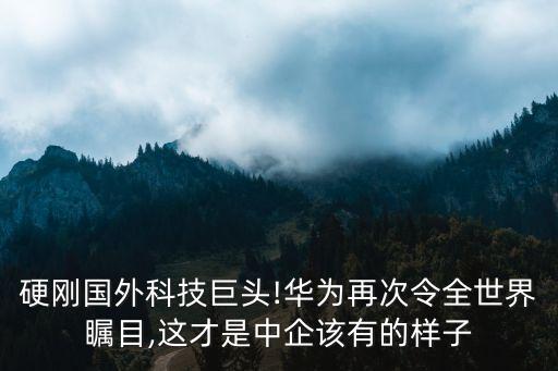 硬剛國外科技巨頭!華為再次令全世界矚目,這才是中企該有的樣子