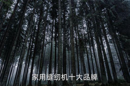 家用縫紉機(jī)十大品牌