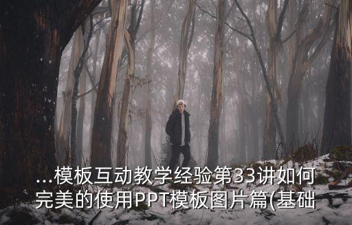 ...模板互動教學(xué)經(jīng)驗第33講如何完美的使用PPT模板圖片篇(基礎(chǔ)