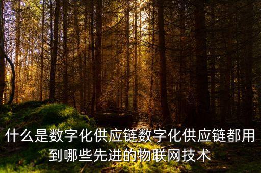 什么是數(shù)字化供應(yīng)鏈數(shù)字化供應(yīng)鏈都用到哪些先進的物聯(lián)網(wǎng)技術(shù)