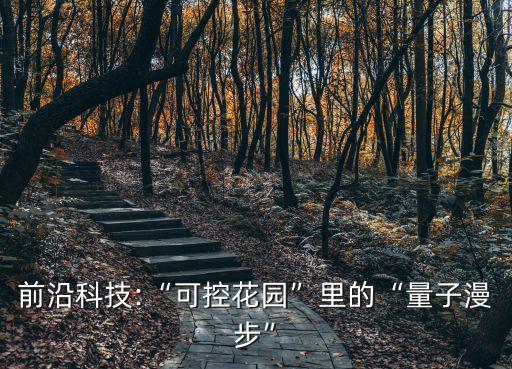 大量子,中科大研發(fā)量子芯片借助光源傳輸原理