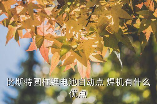 比斯特圓柱鋰電池自動點 焊機有什么優(yōu)點