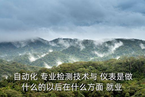 自動(dòng)化儀表專(zhuān)業(yè)就業(yè)方向,工業(yè)自動(dòng)化儀表技術(shù)升本方向
