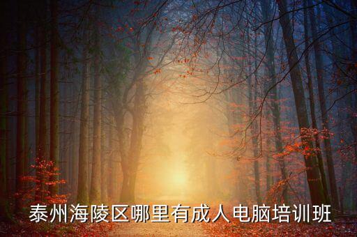  泰州海陵區(qū)哪里有成人電腦培訓(xùn)班