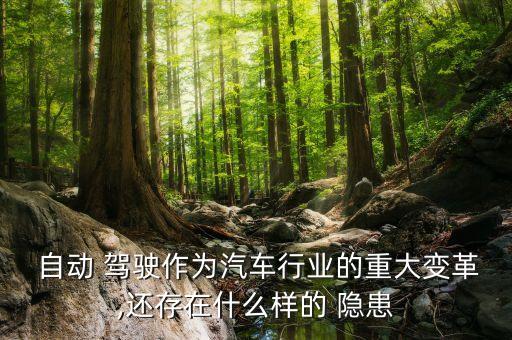 自動 駕駛作為汽車行業(yè)的重大變革,還存在什么樣的 隱患