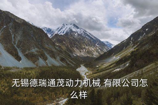  無錫德瑞通茂動(dòng)力機(jī)械 有限公司怎么樣