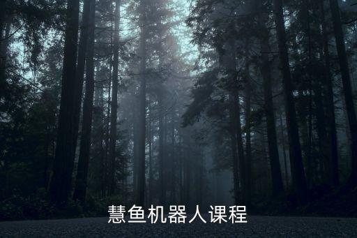 慧魚機(jī)器人課程