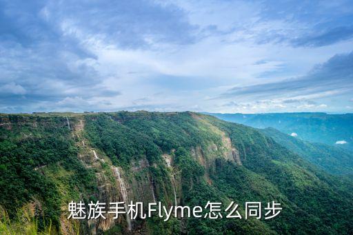 數(shù)據(jù)轉(zhuǎn)到魅族,魅族手機(jī)怎么備份數(shù)據(jù)