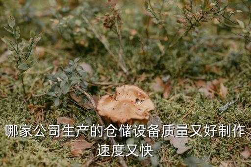 哪家公司生產(chǎn)的倉儲設(shè)備質(zhì)量又好制作速度又快