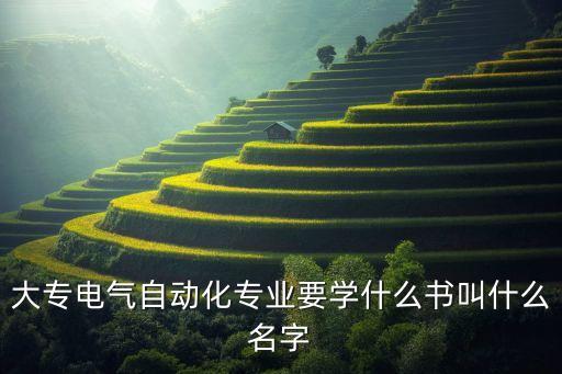 大專電氣自動化專業(yè)要學(xué)什么書叫什么名字