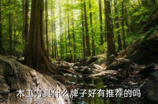 木工刀具什么牌子好有推薦的嗎