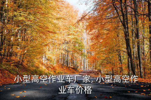  小型高空作業(yè)車廠家, 小型高空作業(yè)車價(jià)格