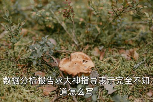 數(shù)據(jù)分析報(bào)告求大神指導(dǎo)表示完全不知道怎么寫(xiě)
