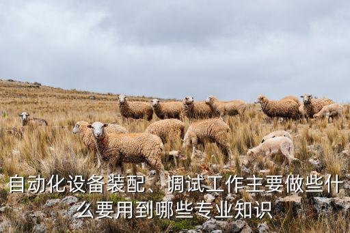 自動化設(shè)備裝配、調(diào)試工作主要做些什么要用到哪些專業(yè)知識