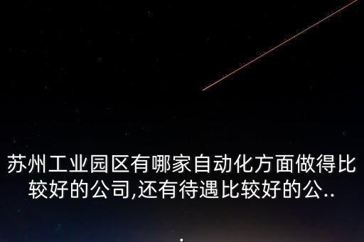蘇州工業(yè)園區(qū)有哪家自動化方面做得比較好的公司,還有待遇比較好的公...