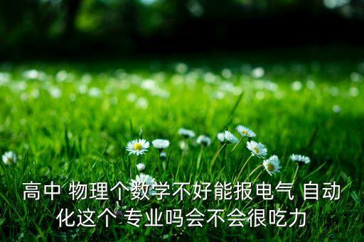 高中 物理個數(shù)學(xué)不好能報電氣 自動化這個 專業(yè)嗎會不會很吃力