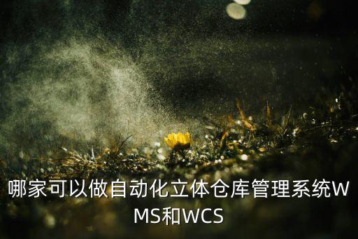 哪家可以做自動(dòng)化立體倉(cāng)庫(kù)管理系統(tǒng)WMS和WCS