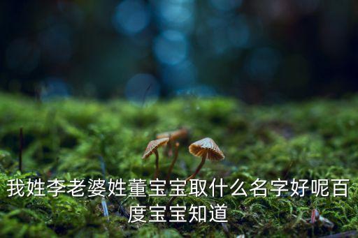 我姓李老婆姓董寶寶取什么名字好呢百度寶寶知道