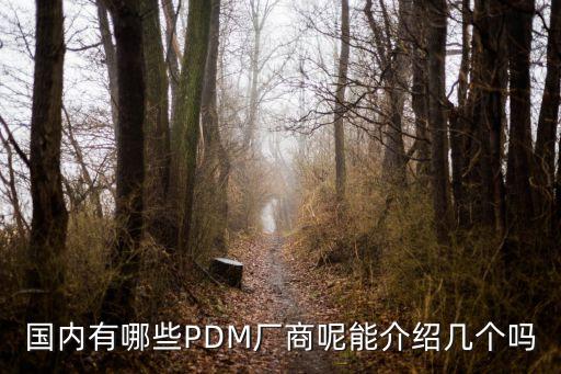 國(guó)內(nèi)有哪些PDM廠商呢能介紹幾個(gè)嗎