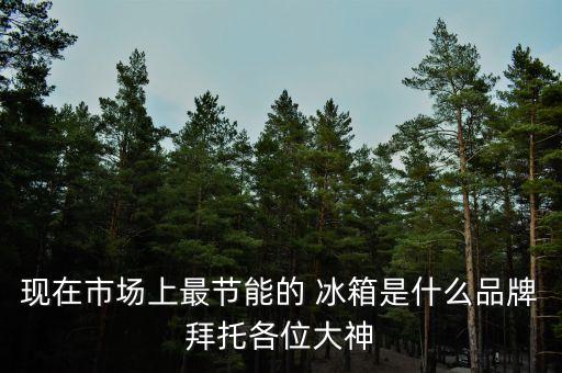 現(xiàn)在市場上最節(jié)能的 冰箱是什么品牌拜托各位大神