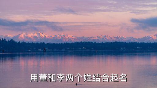 李董,李董起四字名字李董博涵李董雯