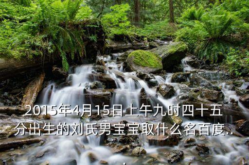 2015年4月15日上午九時四十五分出生的劉氏男寶寶取什么名百度...