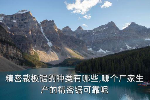精密裁板鋸的種類有哪些,哪個(gè)廠家生產(chǎn)的精密鋸可靠呢