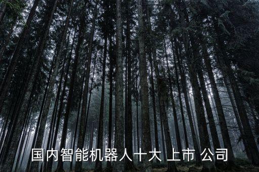 國內智能機器人十大 上市 公司