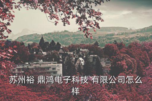 蘇州裕 鼎鴻電子科技 有限公司怎么樣