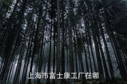 上海市富士康工廠在哪